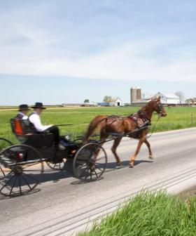 US Police Find Drunk Amish Man Slumped Over In Moving Buggy