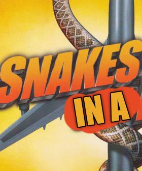 Snakes On A Plane: Dinner Time Edition