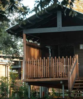 Fancy An Australian Snooze At Australia Zoo?