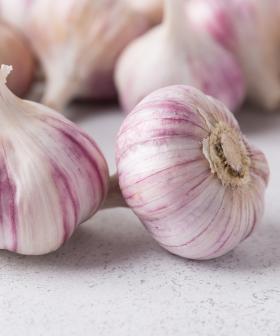 You're Chopping Garlic Wrong