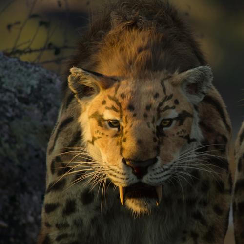 Netflix Are About To Release The Greatest Documentary Of All Time