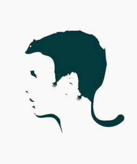 This Optical Illusion That Reveals Your Biggest Fear In Life Is Freaking People Out