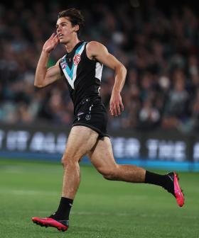 Tonight's Showdown - Who's In and Out?!