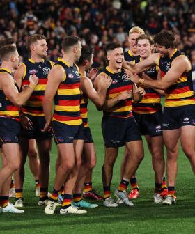 Looks like the Crows are back on track!