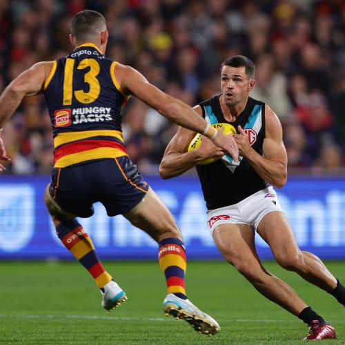 Harry Potter, Medieval Fairs and The Showdown! - What's On in Adelaide