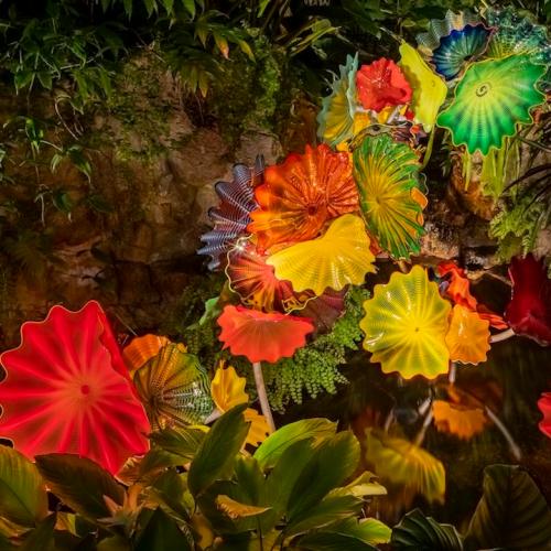 Grand Final Weekend! - What's On In Adelaide