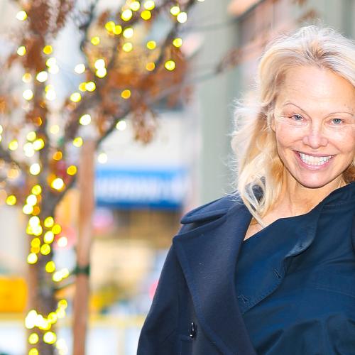 Pamela Anderson's Terrifying Mid-Air Ordeal As Passenger Mistakes Her For Someone Else