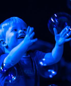 BUBBA-LICIOUS – A sensory feast