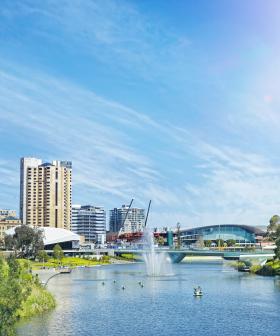 What's Open In Adelaide On The King's Birthday!